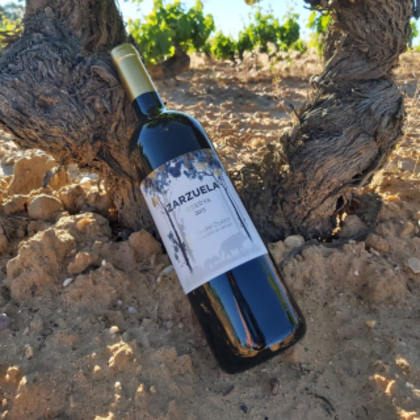 Comprar vinos Ribera de Duero: el mejor vino de burgos